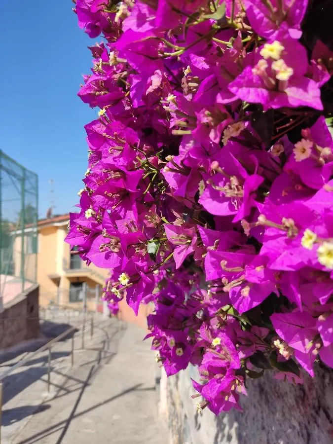 Casa Vacanze La Farfalla 임페리아 아파트